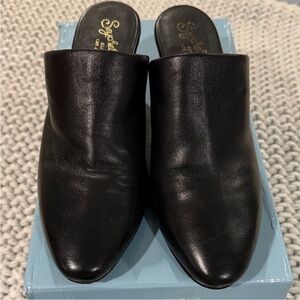 Seychelles Elegant Black Leather Mules